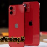 Kabar Buruk untuk Fans iPhone Mini, Apple Tak Akan Bikin HP Kecil Lagi